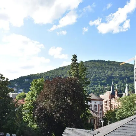 Altstadtblick Heidelberg Extérieur photo