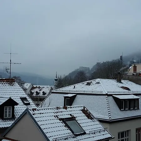 Altstadtblick Heidelberg Extérieur photo