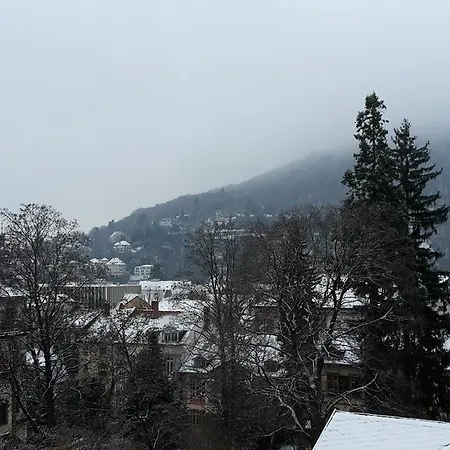 Altstadtblick Heidelberg Extérieur photo