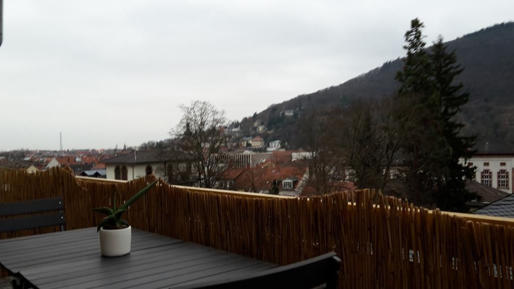 Altstadtblick Heidelberg