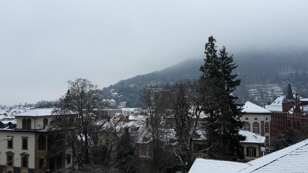 Apartment Altstadtblick *